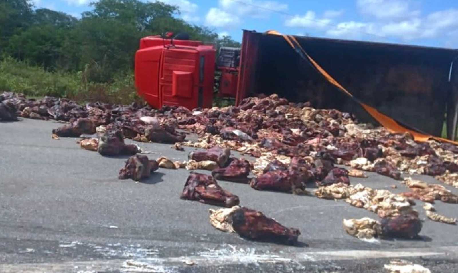 Caminhão carregado de “cabeças de gado” tomba Em Ibimirim – PE